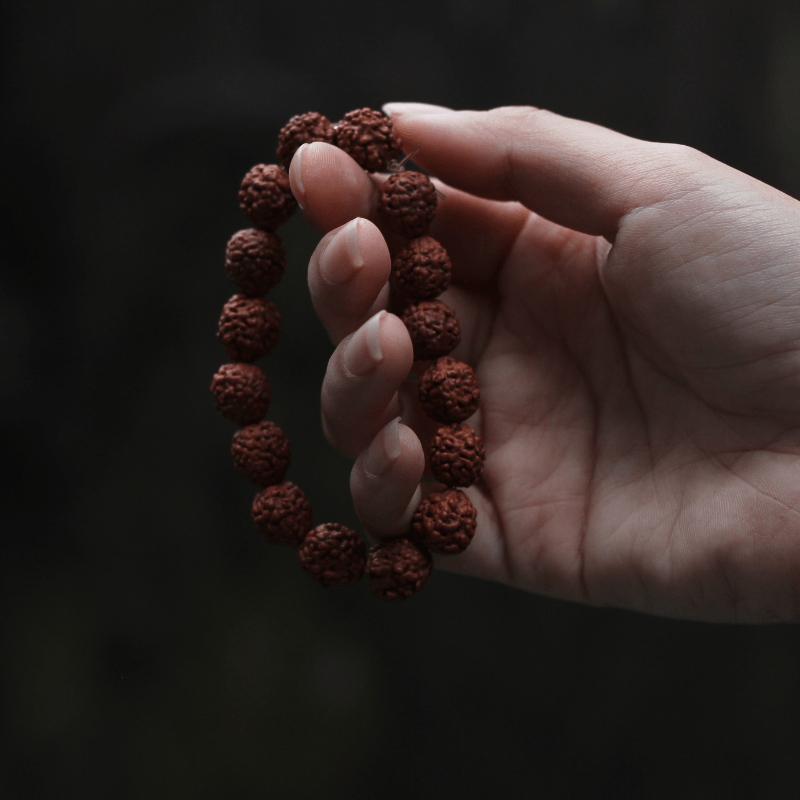 6 Mukhi Rudraksha mala